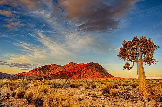 Chasing Desert Ghosts: Your Guide to the Namibia eVisa for Pakistani Nationals (2025) Chasing Desert Ghosts: Your Guide to the Namibia eVisa for Pakistani Nationals (2025)
